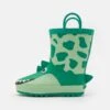 Friboo Botas De Agua - Green