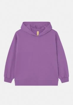Friboo Hoodie 2 Pack - Sudadera - Purple/Light Grey 8 Friboo Hoodie 2 Pack - Sudadera - Purple/Light Grey -Friboo da2dec0af23149c6bc5d46322ccb9f02