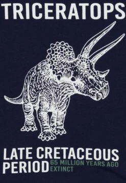 Friboo 4 Pack - Camiseta De Manga Larga - Multi-Coloured/White/Green 9 Friboo 4 Pack - Camiseta De Manga Larga - Multi-Coloured/White/Green -Friboo e46a129ca14e4143b4912704b064e6c8