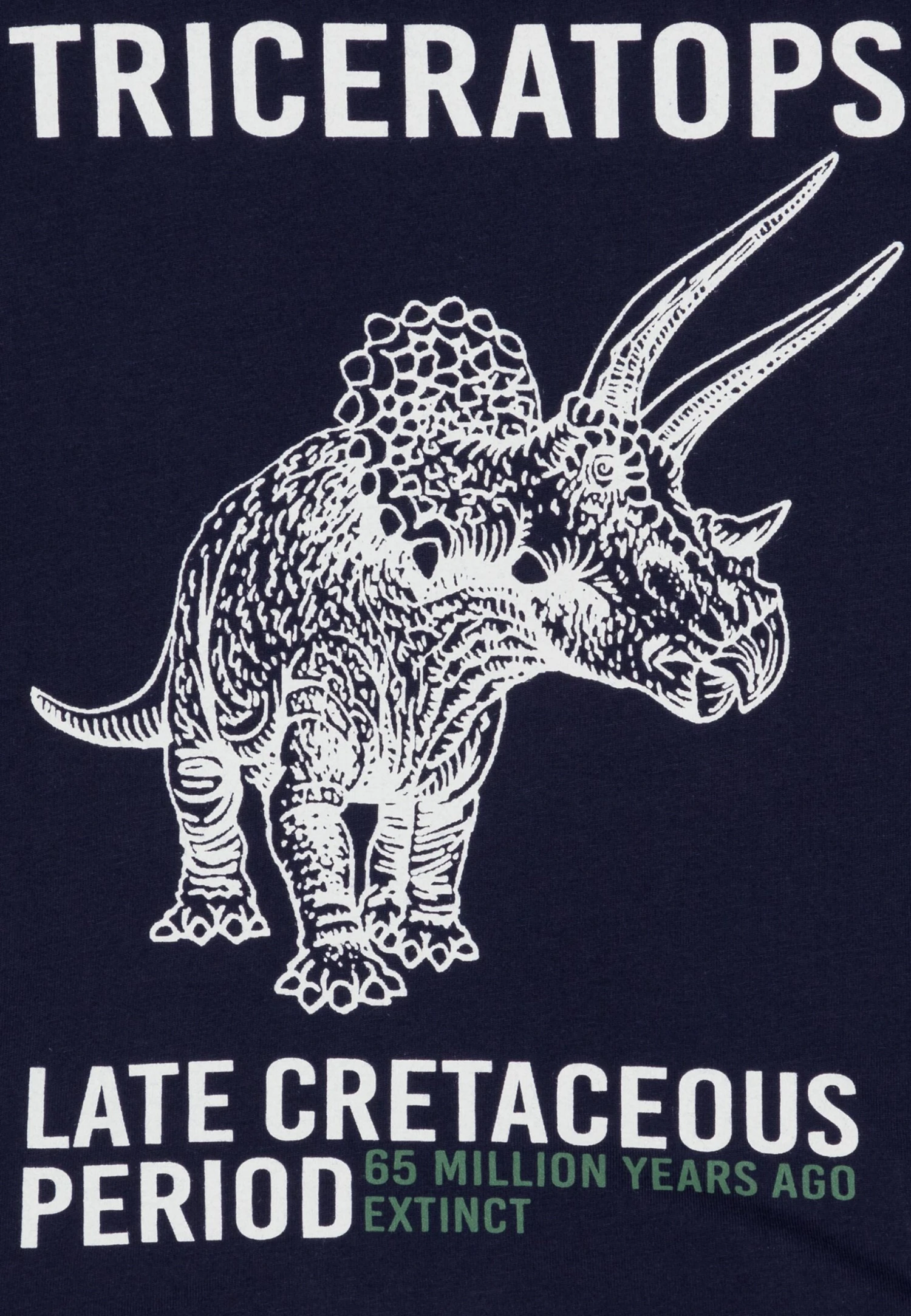 Friboo 4 Pack - Camiseta De Manga Larga - Multi-Coloured/White/Green 6 Friboo 4 Pack - Camiseta De Manga Larga - Multi-Coloured/White/Green - Imagen 4